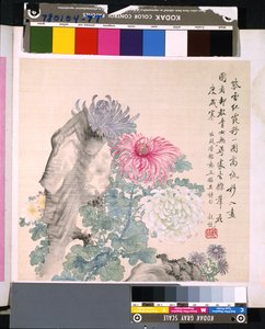 Album van bloemen en vogels
