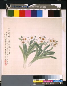 Album van bloemen en vogels door School Chinese