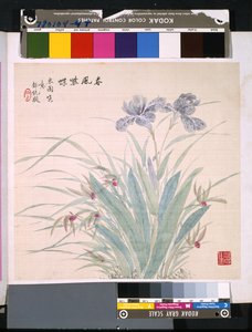 Album van bloemen en vogels