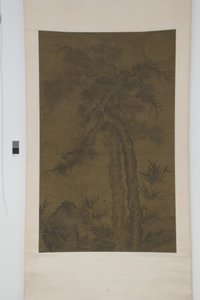 Oude bomen onder de maan