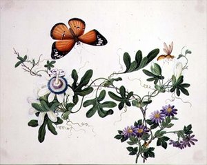 Passiebloem en vlinder door School Chinese