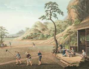 Theeproductie, ca. 1820 door School Chinese
