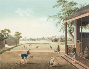 Theeproductie, ca. 1820 door School Chinese