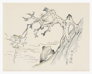 Tien Bamboe Serie door School Chinese