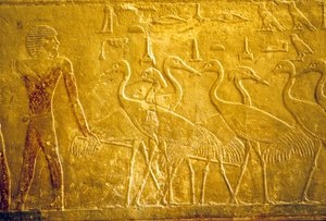 Oude Egypte, muurschildering, Mastaba/Graf van Ti, Saqqara, 5e Dynastie, Een boer die tamme kraanvogels leidt