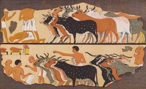 Vee, oud Egypte