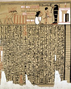 Egyptische Hiërogliefen door School Egyptian