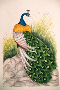 Miniatuurschilderij op zijde Pauw door School Indian