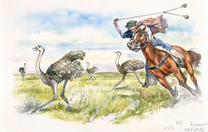 Argentinië - veehouders jagen op nandoes in de Pampas