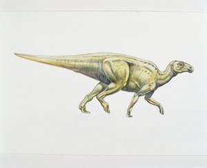 Hadrosauride of eendensnaveldinosaurus door School Italian