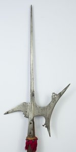 Helmbijl