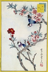 Vogels in een bloeiende boom - Japanse prent