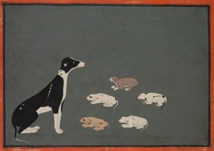 Hond met pups, ca. 1780 (inkt en dekkende aquarel op papier) door School Mughal