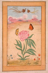 Bloeiende planten met paradijsvogels en vlinders, uit het Small Clive Album