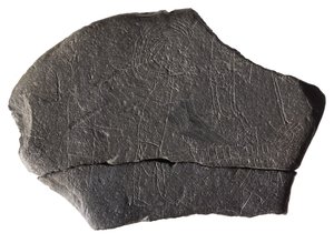 Gijzelsteen, van het vroegmiddeleeuwse eilandklooster, Inchmarnock, Bute, Schotland, c.8e-9e eeuw na Chr. door Scottish School