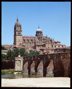 Uitzicht op Romeinse brug over de rivier Tormes en kathedraal