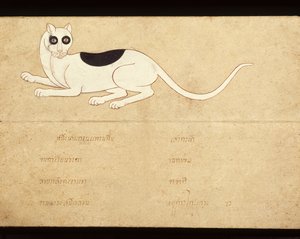 Blad van een manuscript over Siamese katten, begin 20e eeuw door School Thai