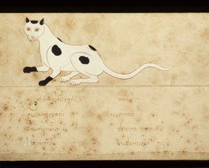 Blad van een manuscript over Siamese katten, begin 20e eeuw door School Thai