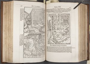 Cosmographia, Fol 436-437 door Sebastian Munster