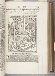 Cosmographia, Fol 437, 1544 door Sebastian Munster