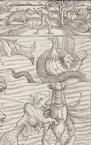 Cosmographia, Fol 853, 1544 door Sebastian Munster
