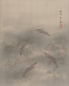 Garnaal Ebi, ca. 1890-92 door Seki Shuko