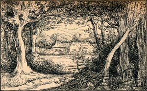 Het einde van de open plek, Epping Forest, c1900 door Selwyn Image