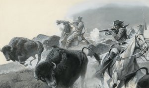 Kudde buffels (gouache op papier)