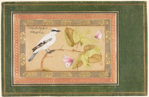 Zwart-witte vogel op een struik door Shafi Abbasi
