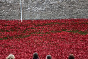 Blood Swept Lands and Seas of Red, Tower of London door Sheldon Marshall