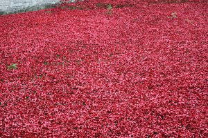 Blood Swept Lands and Seas of Red, Tower of London door Sheldon Marshall