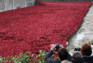Bloed doordrenkte landen en zeeën van rood, Tower of London door Sheldon Marshall