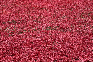 Bloed Overgoten Landen en Zeeën van Rood, Tower of London, 2014 door Sheldon Marshall
