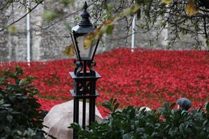 Bloed doordrenkte landen en zeeën van rood, Tower of London door Sheldon Marshall