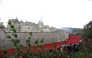 Bloed doordrenkte landen en zeeën van rood, Tower of London, 2014 door Sheldon Marshall