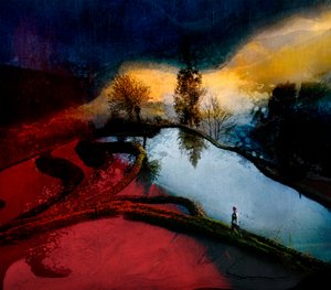  door Shenshen Dou