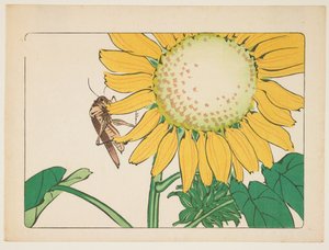  door Shibata Zeshin