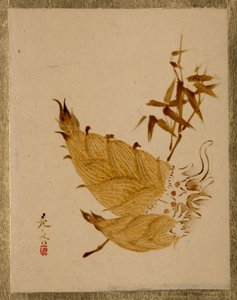  door Shibata Zeshin