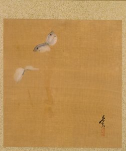 Motten uit Album van Schilderijen door de Eerwaarde Zeshin door Shibata Zeshin