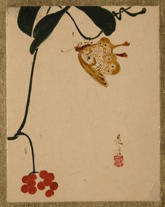  door Shibata Zeshin