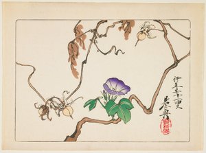  door Shibata Zeshin
