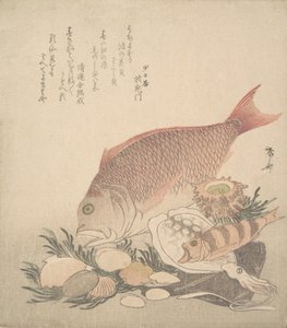 Grote en Kleine Vissen Zwemmen Tussen Schelpen en Mos op de Bodem van de Zee door Shinsai