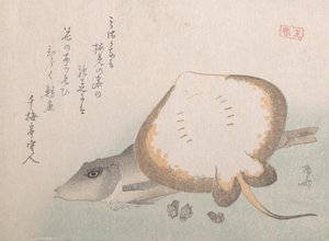 Pijlstaartrog en knorhaan, waarschijnlijk 1815 door Shinsai
