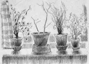 Dode planten op een vensterbank