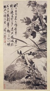 Hibiscus, Lotus en Rots, ca. 1705-7