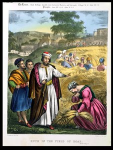 Ruth in het Veld van Boaz, uit een bijbel gedrukt door Edward Gover, 1870
