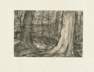 Gezicht tussen bomen