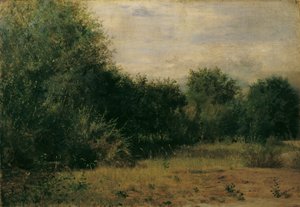 Landschapsstudie