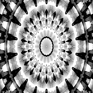 Zwart-wit symfonie