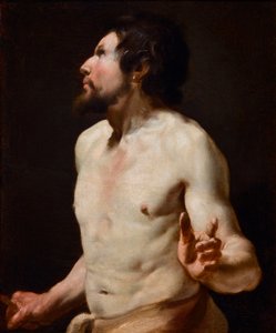 Studie van torso Schilderij van de school van Simon Vouet (1590-1649) door Simon (circle of) Vouet